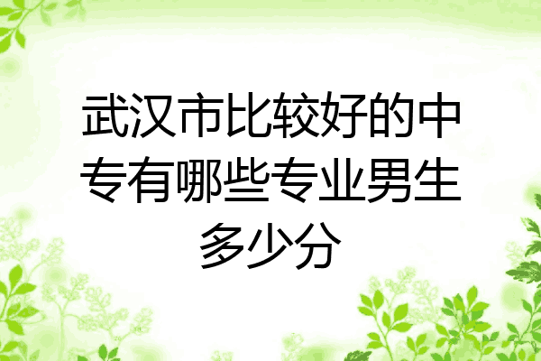 武汉市比较好的中专有哪些专业男生多少分