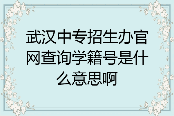 武汉中专招生办官网查询学籍号是什么意思啊