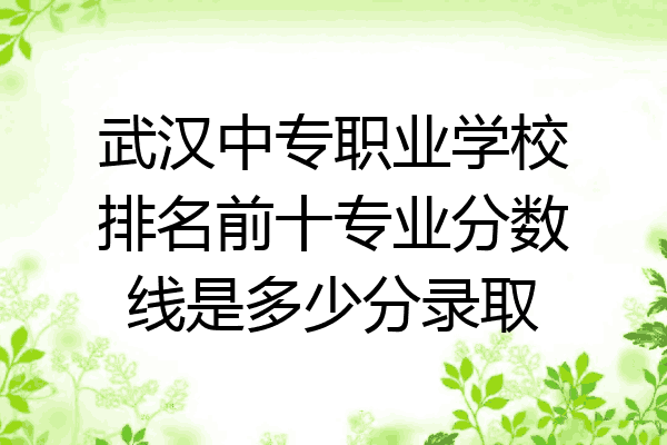 武汉中专职业学校排名前十专业分数线是多少分录取