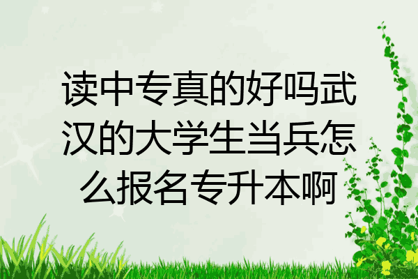 读中专真的好吗武汉的大学生当兵怎么报名专升本啊