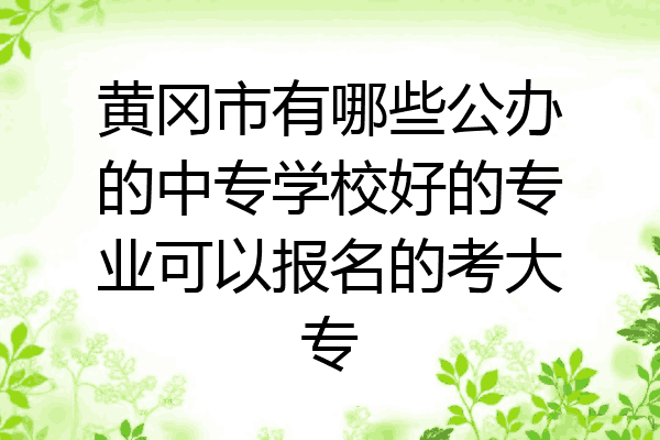 黄冈市有哪些公办的中专学校好的专业可以报名的考大专
