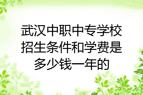 武汉中职中专学校招生条件和学费是多少钱一年的
