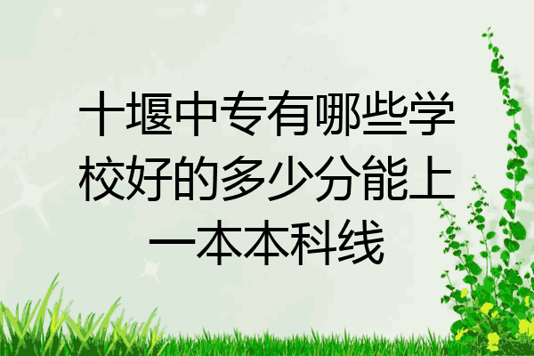 十堰中专有哪些学校好的多少分能上一本本科线