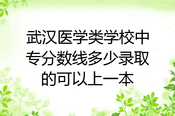 武汉医学类学校中专分数线多少录取的可以上一本