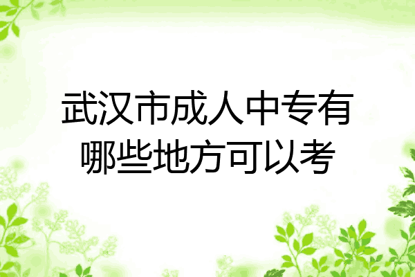 武汉市成人中专有哪些地方可以考