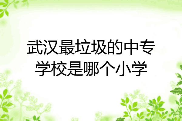 武汉最垃圾的中专学校是哪个小学