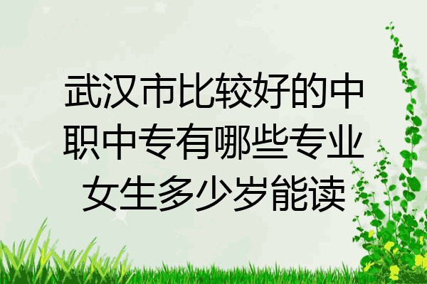 武汉市比较好的中职中专有哪些专业女生多少岁能读