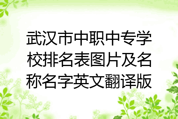 武汉市中职中专学校排名表图片及名称名字英文翻译版