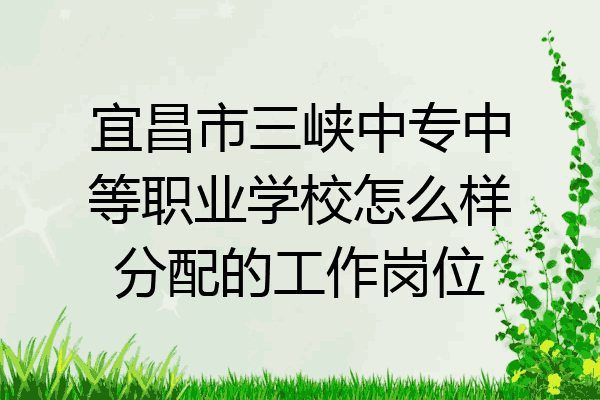 宜昌市三峡中专中等职业学校怎么样分配的工作岗位