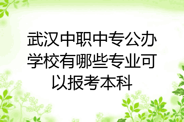 武汉中职中专公办学校有哪些专业可以报考本科