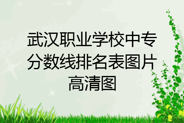 武汉职业学校中专分数线排名表图片高清图