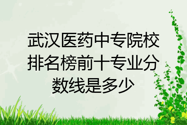 武汉医药中专院校排名榜前十专业分数线是多少