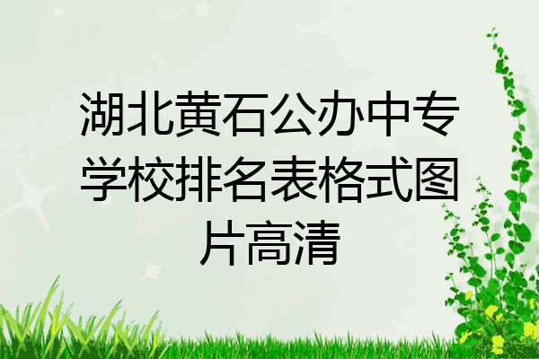 湖北黄石公办中专学校排名表格式图片高清