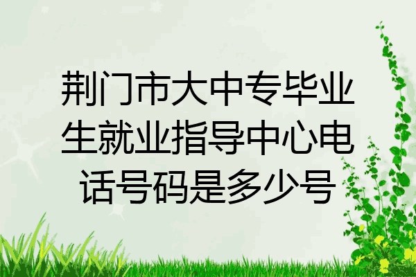 荆门市大中专毕业生就业指导中心电话号码是多少号