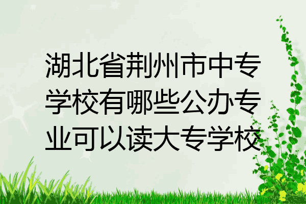 湖北省荆州市中专学校有哪些公办专业可以读大专学校