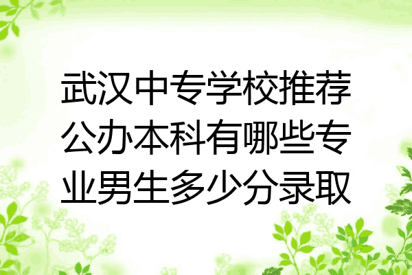 武汉中专学校推荐公办本科有哪些专业男生多少分录取