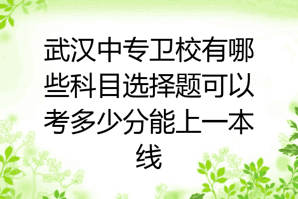 武汉中专卫校有哪些科目选择题可以考多少分能上一本线