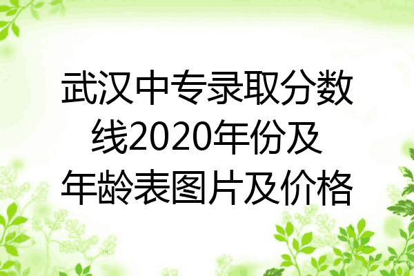 武汉中专录取分数线2020年份及年龄表图片及价格