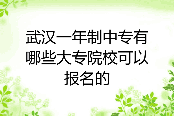 武汉一年制中专有哪些大专院校可以报名的