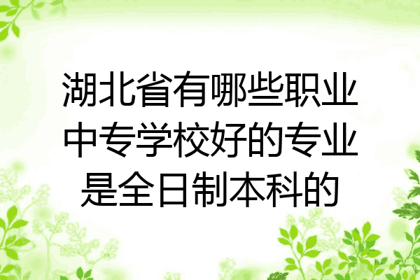 湖北省有哪些职业中专学校好的专业是全日制本科的