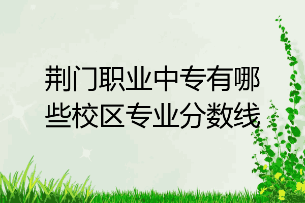 荆门职业中专有哪些校区专业分数线