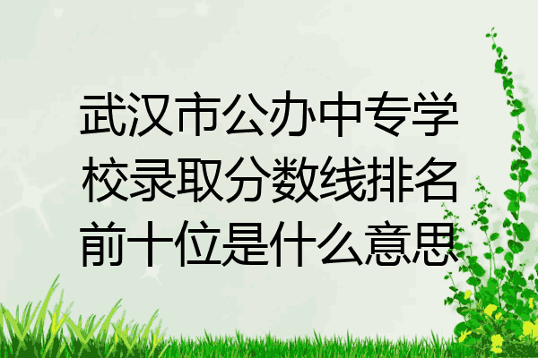 武汉市公办中专学校录取分数线排名前十位是什么意思