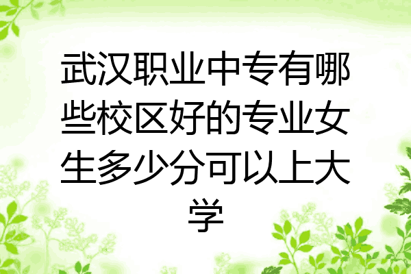 武汉职业中专有哪些校区好的专业女生多少分可以上大学
