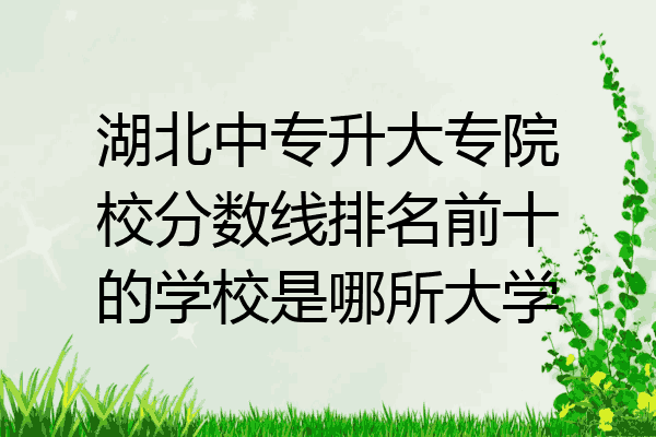 湖北中专升大专院校分数线排名前十的学校是哪所大学