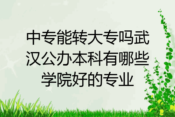 中专能转大专吗武汉公办本科有哪些学院好的专业