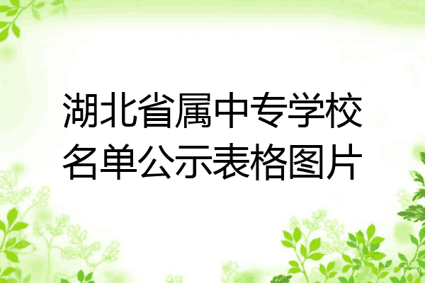 湖北省属中专学校名单公示表格图片