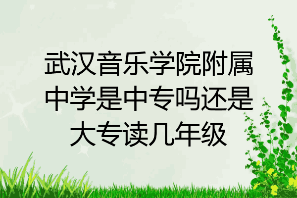 武汉音乐学院附属中学是中专吗还是大专读几年级