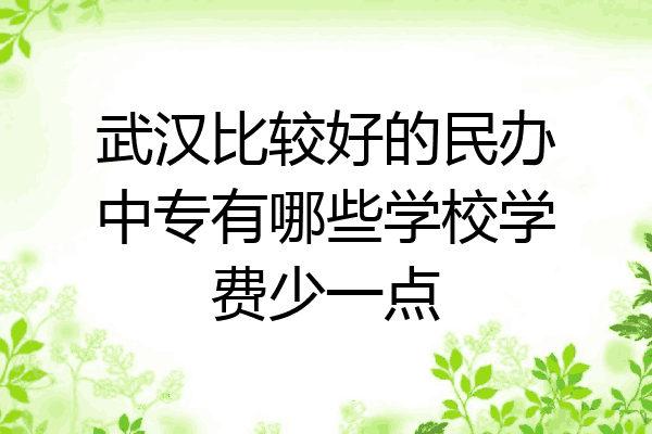 武汉比较好的民办中专有哪些学校学费少一点