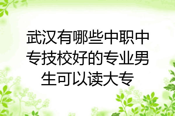 武汉有哪些中职中专技校好的专业男生可以读大专