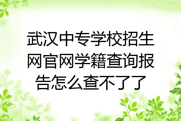 武汉中专学校招生网官网学籍查询报告怎么查不了了