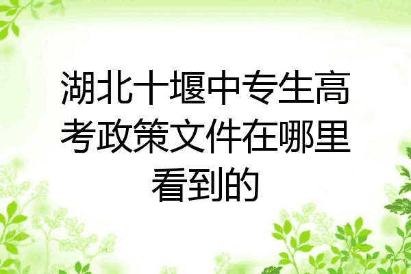 湖北十堰中专生高考政策文件在哪里看到的