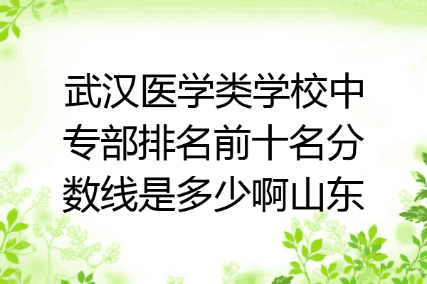 武汉医学类学校中专部排名前十名分数线是多少啊山东