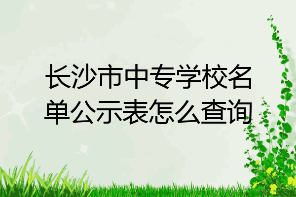 长沙市中专学校名单公示表怎么查询