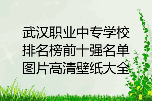 武汉职业中专学校排名榜前十强名单图片高清壁纸大全
