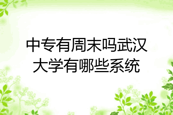 中专有周末吗武汉大学有哪些系统