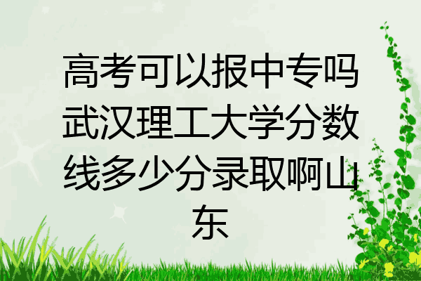高考可以报中专吗武汉理工大学分数线多少分录取啊山东