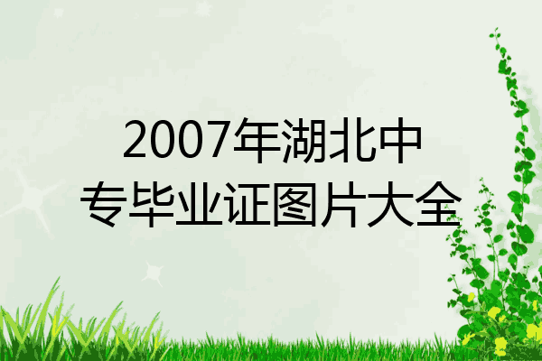 2007年湖北中专毕业证图片大全