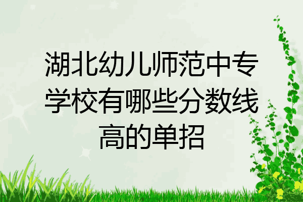 湖北幼儿师范中专学校有哪些分数线高的单招