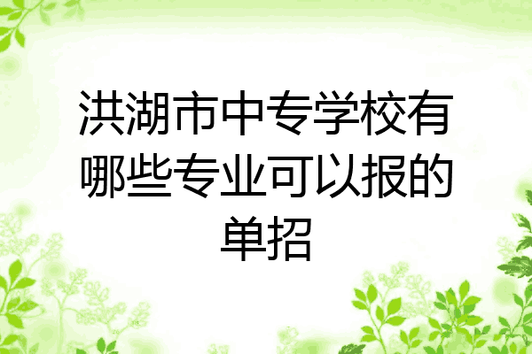 洪湖市中专学校有哪些专业可以报的单招