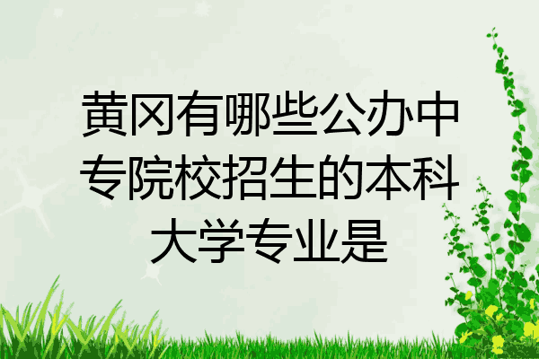 黄冈有哪些公办中专院校招生的本科大学专业是