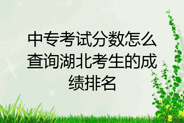 中专考试分数怎么查询湖北考生的成绩排名