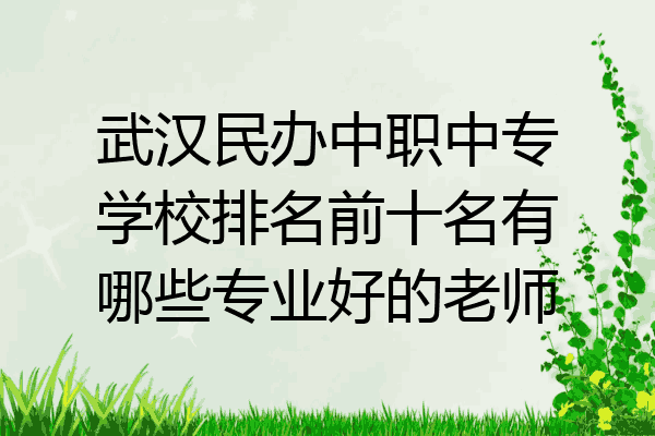 武汉民办中职中专学校排名前十名有哪些专业好的老师
