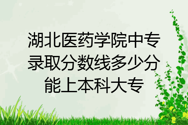 湖北医药学院中专录取分数线多少分能上本科大专