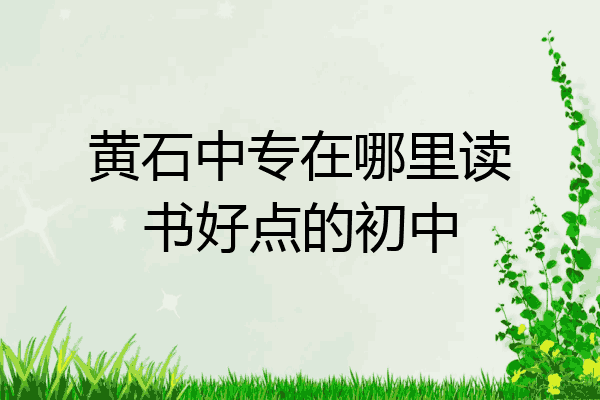 黄石中专在哪里读书好点的初中
