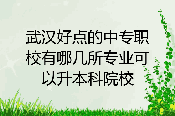 武汉好点的中专职校有哪几所专业可以升本科院校