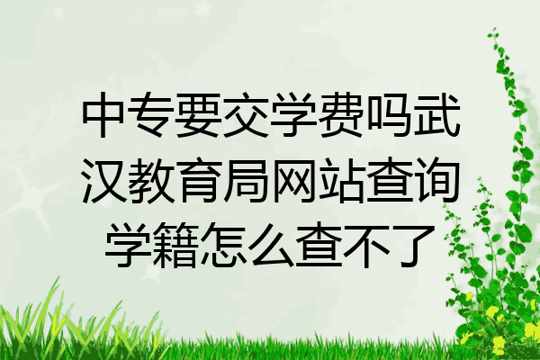 中专要交学费吗武汉教育局网站查询学籍怎么查不了